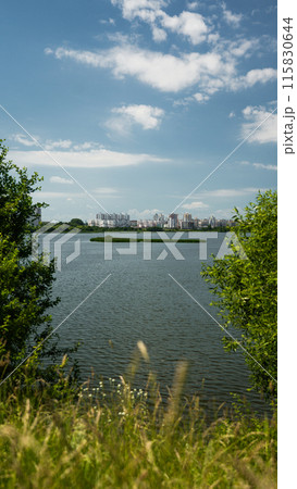 Island, seagull nests on a large pond Island, seagull nests on a large pond 115830644