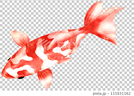 從上方看的瓦金的簡單插圖 115831162