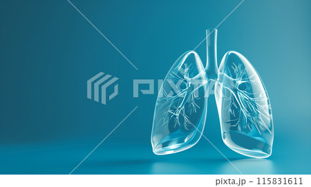 human clean glass lungs with transparent texture on a blue background for advertising human clean glass lungs with transparent texture on a blue background for advertising 115831611