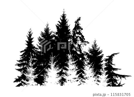 Silhouette of spruce forest. hand drawing. Not AI. Vector illustration 115831705