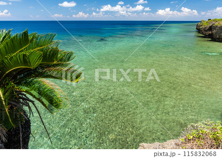 Turquoise sea, palm tree in view from a cliff 115832068