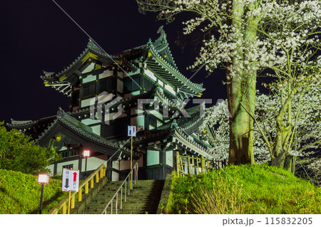 日本さくら名所100選　新潟　高田城址公園　夜桜ライトアップ 115832205