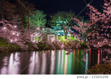 日本さくら名所100選　新潟　高田城址公園　夜桜ライトアップ 115832209
