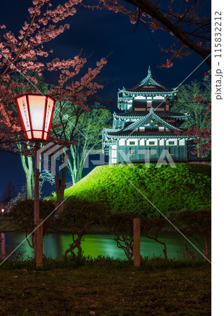 日本さくら名所100選 新潟 高田城址公園 夜桜ライトアップ 日本さくら名所100選 新潟 高田城址公園 夜桜ライトアップ 115832212