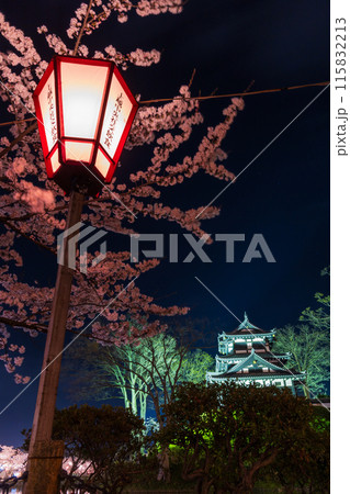日本さくら名所100選 新潟 高田城址公園 夜桜ライトアップ 日本さくら名所100選 新潟 高田城址公園 夜桜ライトアップ 115832213