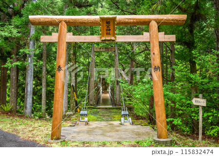 【姫宮神社】姫宮橋【赤沢自然休養林】 【姫宮神社】姫宮橋【赤沢自然休養林】 115832474