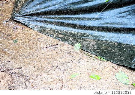 ポーランド軍幕 115833052