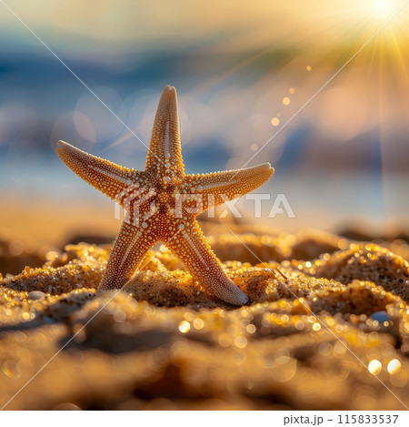 Beachside relaxation, starfish lounges on sandy shore serenely 115833537