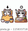 寝起きの猫 115833718