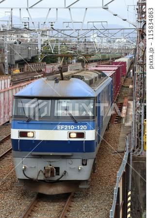 東海道本線：京都市内を行き交う専用貨物列車（ブロックトレイン） 115834863