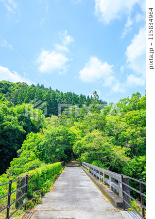 初夏の出会橋　大分県豊後大野市 115834964