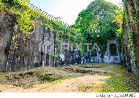 初夏の沈堕発電所跡　大分県豊後大野市 115834985