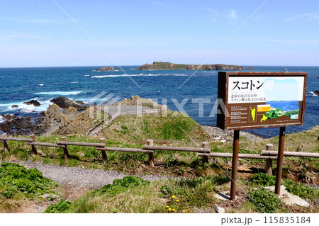 礼文島スコトン岬から眺める展望台とトド島 115835184