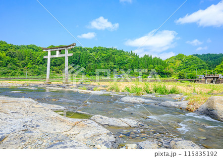 初夏の二宮八幡社 一の鳥居　大分県豊後大野市 115835192