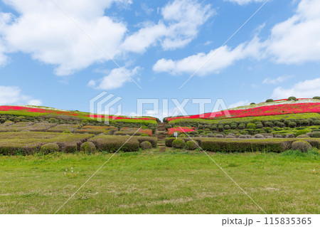 塚山古墳　栃木県宇都宮市西川田町にて 115835365