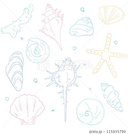 手書きの貝殻の線画セット、デコレーション素材 115835790