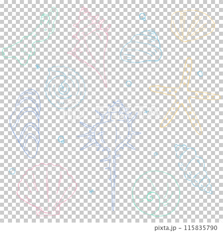 Hand-drawn seashell line drawing set, decoration material 115835790