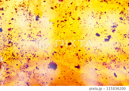 Used vegetable oil in a plate . 115836200