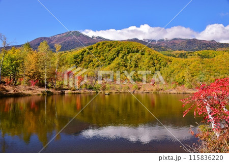 のりくら高原の秋景色 のりくら高原の秋景色 115836220