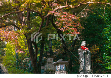 奈良 長谷寺 境内の秋景色 115837301