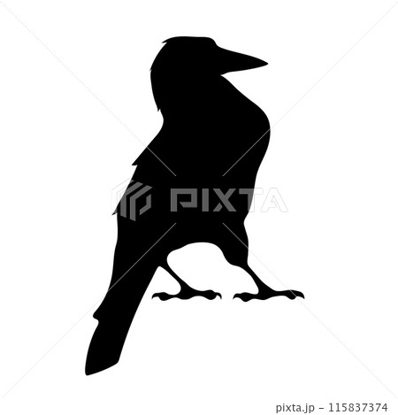 Bird Raven Crow Black Silhouette for Icon. Bird Raven Crow Black Silhouette for Icon. 115837374