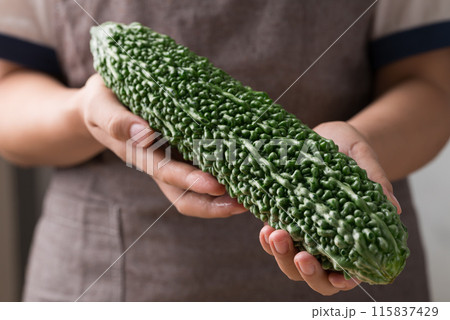 Bitter gourd holding by woman hand, Asian food ingredient and herbal medicine 115837429
