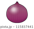 紫玉ねぎのイラスト（主線あり） 115837441