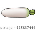 大根のイラスト（主線あり） 115837444
