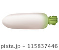 大根のイラスト（主線なし） 115837446