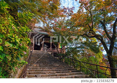 奈良 長谷寺 境内の秋景色 奈良 長谷寺 境内の秋景色 115838279