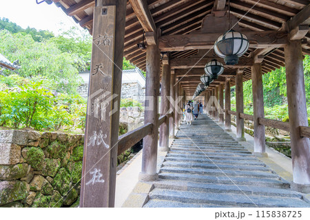 奈良県桜井市　新緑の長谷寺の回廊を登る参拝客 115838725