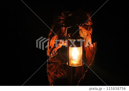 木の穴のランタン 115838756