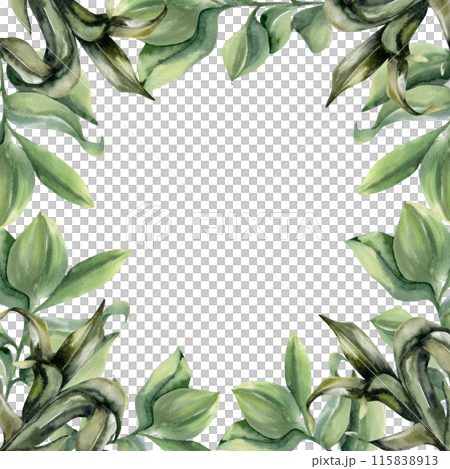 Green home plants with leaves watercolor frame. Hand drawn square frame with house, urban jungle flowers, card, invitation template. Eco salon design, poster, label, logo decorHome green plants in whi 115838913