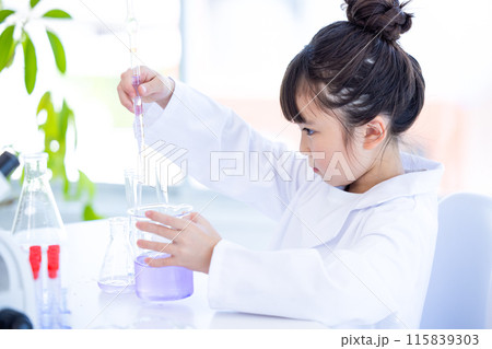 科学の勉強をする小学生の女の子 115839303