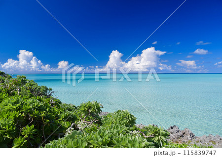 真夏の入道雲と青い海 115839747