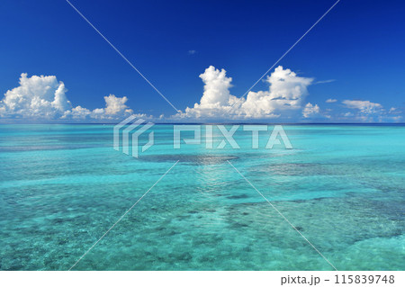 池間大橋から見る真夏の入道雲と珊瑚礁の青い海 115839748