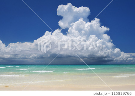 きれいなビーチに打ち寄せる波と真夏の入道雲 115839766