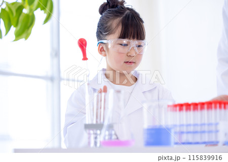 科学の勉強をする小学生の女の子 科学の勉強をする小学生の女の子 115839916