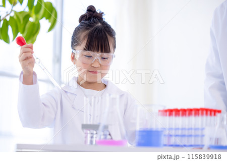 科学の勉強をする小学生の女の子 科学の勉強をする小学生の女の子 115839918