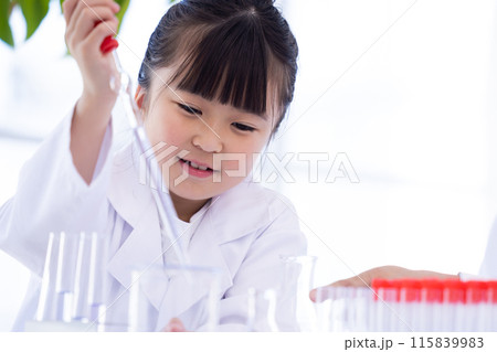 科学の勉強をする小学生の女の子と先生 115839983
