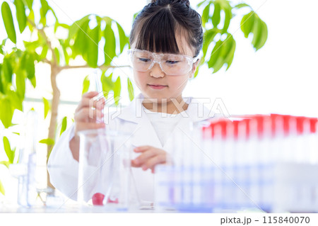 科学の勉強をする小学生の女の子 科学の勉強をする小学生の女の子 115840070
