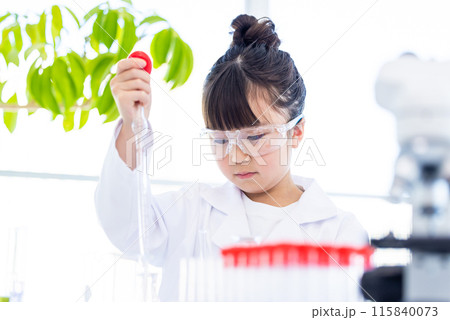 科学の勉強をする小学生の女の子 115840073