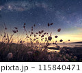 沈む太陽と星空　湖と草原 115840471