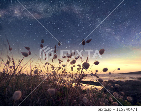 沈む太陽と星空 湖と草原 沈む太陽と星空 湖と草原 115840471