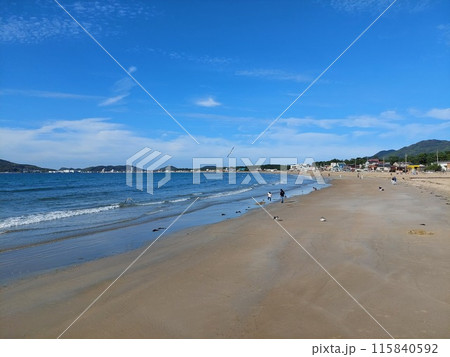 海岸 115840592