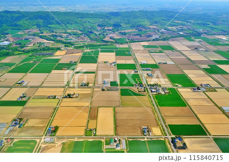 空撮した北海道の田園風景 115840715