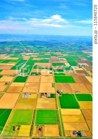 空撮した北海道の田園風景 空撮した北海道の田園風景 115840720