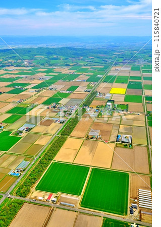 空撮した北海道の田園風景 空撮した北海道の田園風景 115840721
