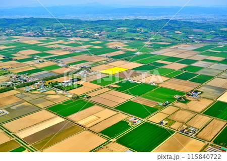 空撮した北海道の田園風景 空撮した北海道の田園風景 115840722