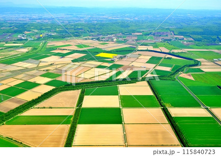 空撮した北海道の田園風景 115840723